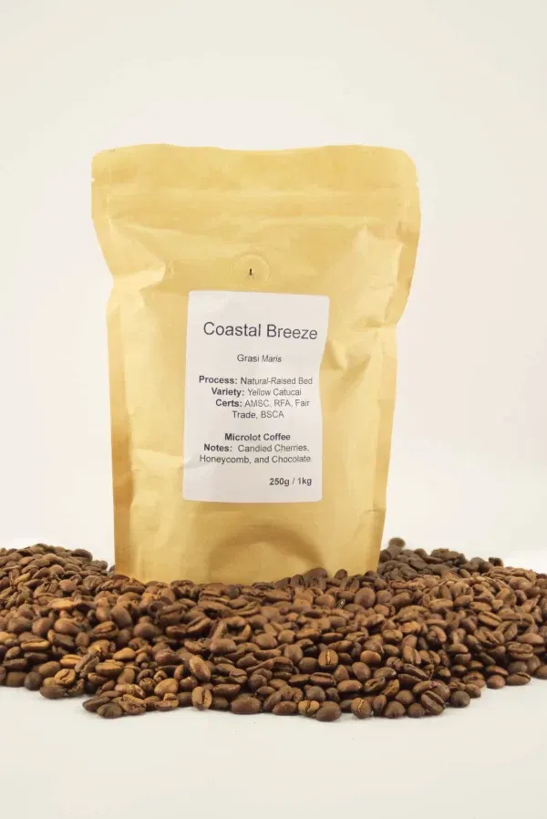 Coastal Breeze - 4 pack for the undecided